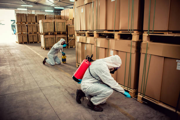 Best Mosquito Control Services  in Old Forge, PA