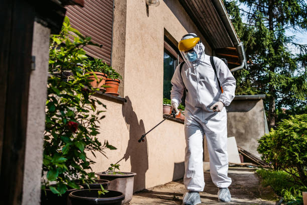 Best Affordable Pest Control Services  in Old Forge, PA