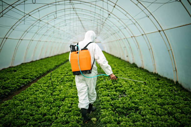 Best Pest Control for Restaurants  in Old Forge, PA
