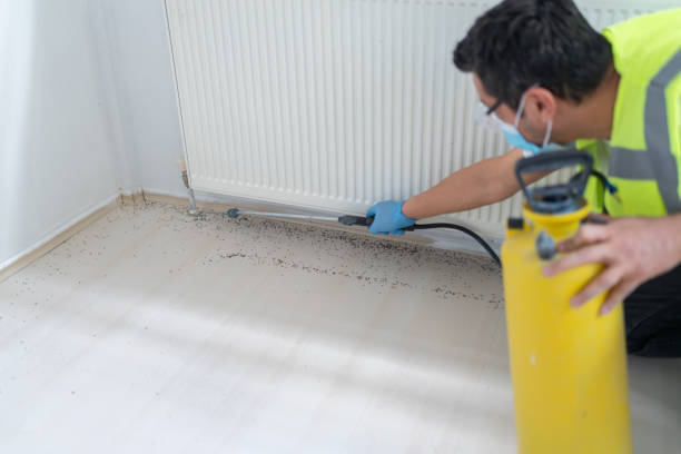 Best Exterminator Services  in Old Forge, PA